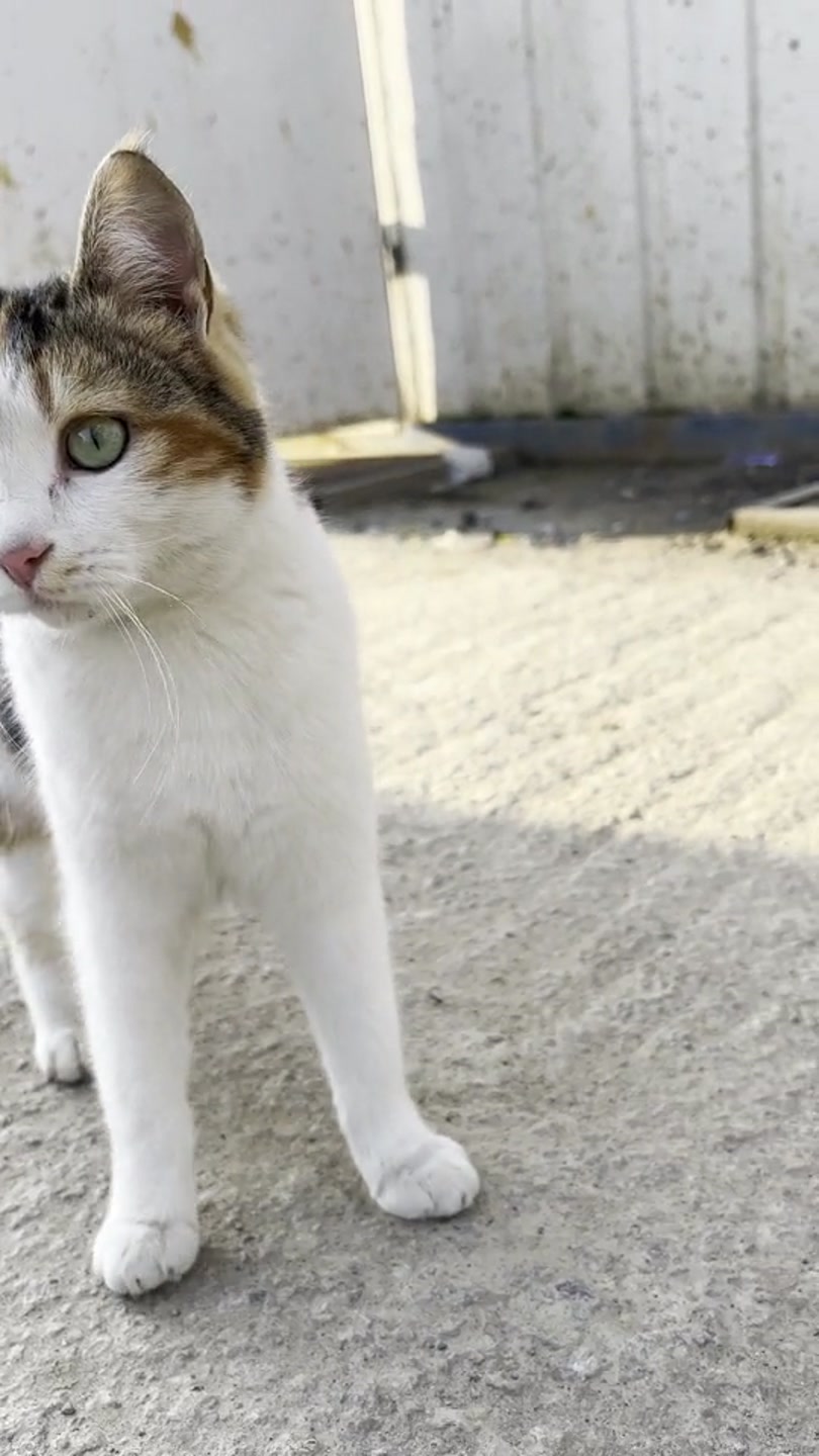 miniaturka_specijalisty_story_23