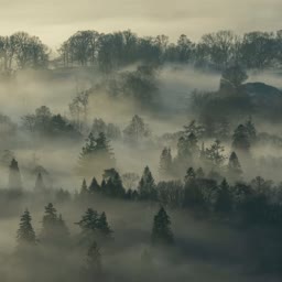 Miniaturka zdjęcia profilowego