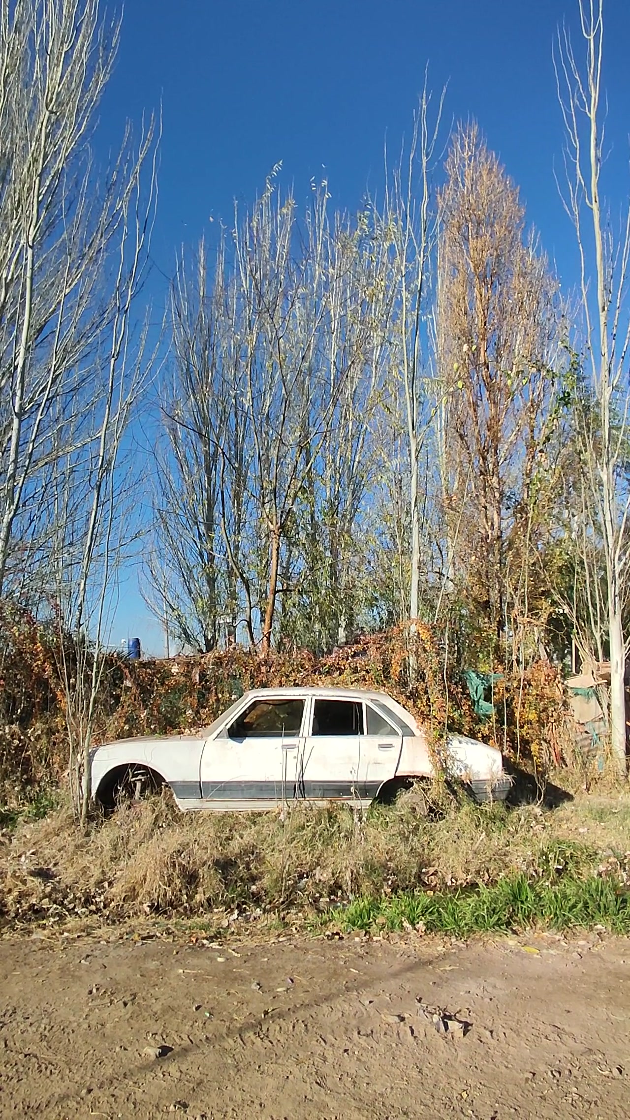 miniaturka_specijalisty_story_25